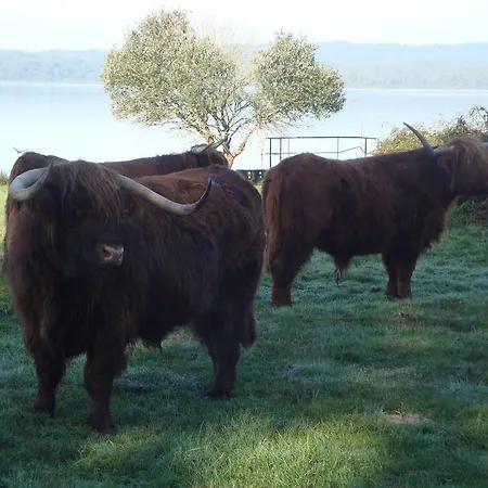 Maison Lous Amics Prázdninový dům