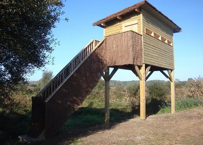 بيت للعطل Maison Lous Amics