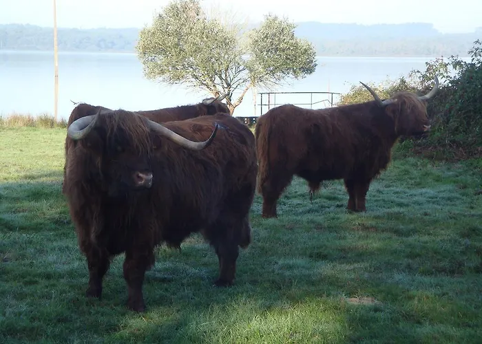 Maison Lous Amics بيت للعطل